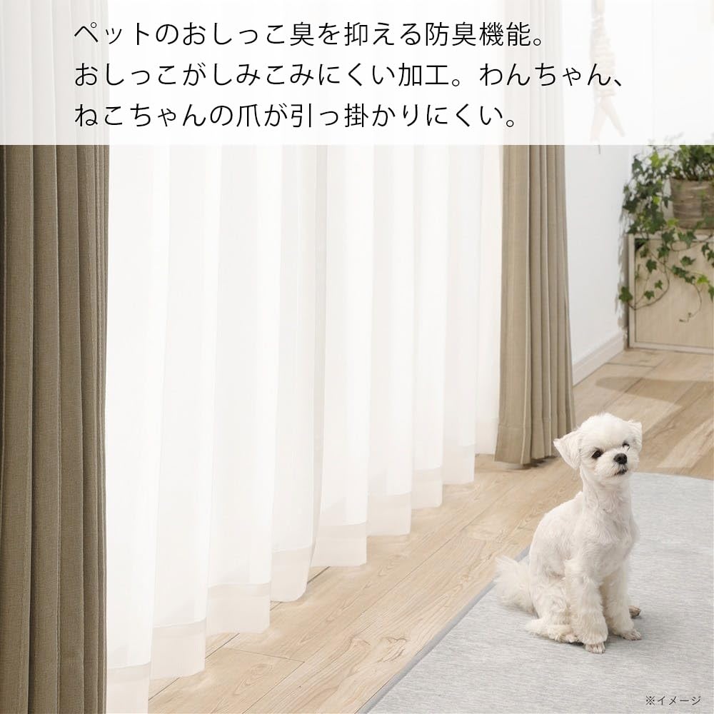 Amazon｜カインズ(CAINZ) ペットと快適に過ごせる レース
